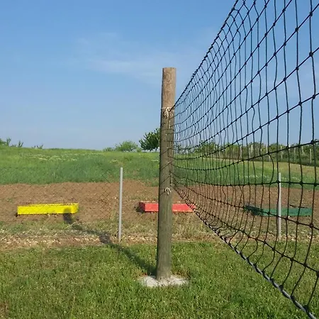 펜션 Deciji Vinogradi Belgrade, Sopot, Kosmaj Sopot