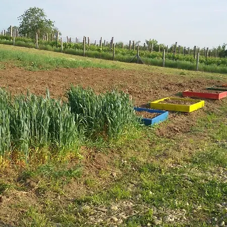 펜션 Deciji Vinogradi Belgrade, Sopot, Kosmaj