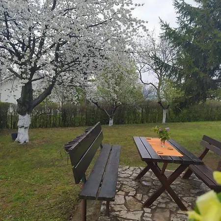 Deciji Vinogradi Belgrade, Sopot, Kosmaj