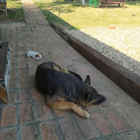 Deciji Vinogradi Belgrade, Sopot, Kosmaj Vakantiehuis Sopot