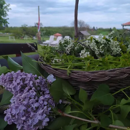 Vakantiehuis Deciji Vinogradi Belgrade, Sopot, Kosmaj Sopot