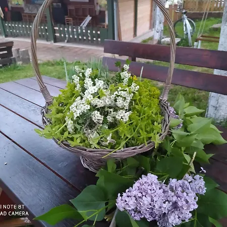 Deciji Vinogradi Belgrade, Sopot, Kosmaj 펜션 *