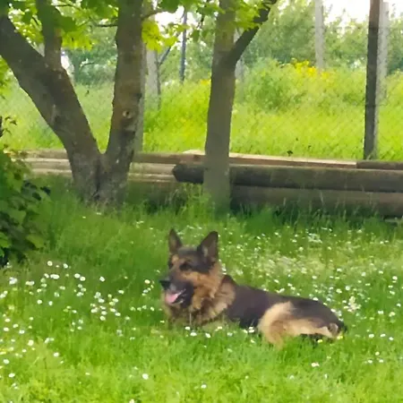 Deciji Vinogradi Belgrade, Sopot, Kosmaj