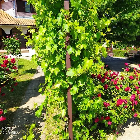 Deciji Vinogradi Belgrade, Sopot, Kosmaj Holiday home Sopot