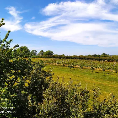 Deciji Vinogradi Belgrade, Sopot, Kosmaj Holiday home Sopot