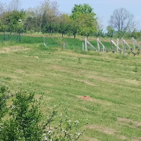 Vakantiehuis Deciji Vinogradi Belgrade, Sopot, Kosmaj Sopot