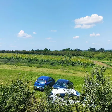 Deciji Vinogradi Belgrade, Sopot, Kosmaj 펜션 Sopot