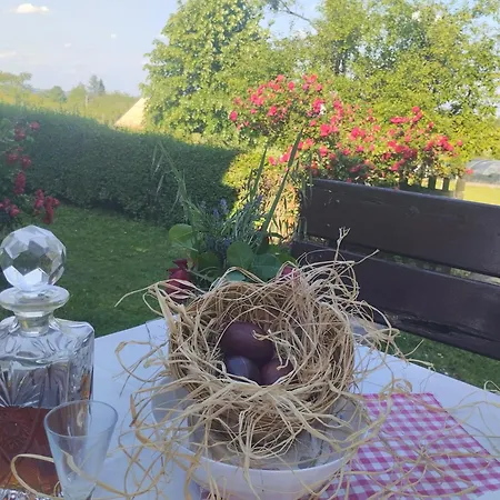 Holiday home Deciji Vinogradi Belgrade, Sopot, Kosmaj