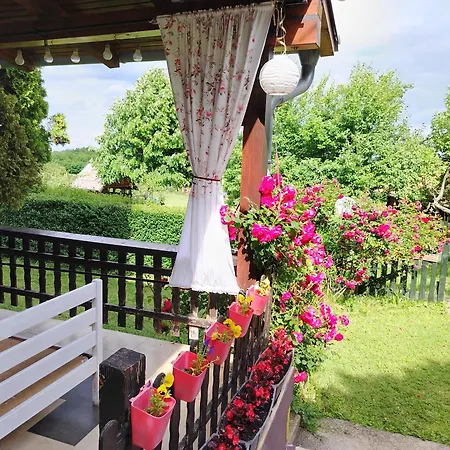 Deciji Vinogradi Belgrade, Sopot, Kosmaj *