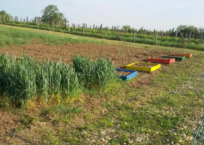 別荘 Deciji Vinogradi Belgrade, Sopot, Kosmaj