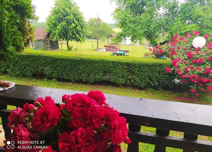 Deciji Vinogradi Belgrade, Sopot, Kosmaj 別荘 *