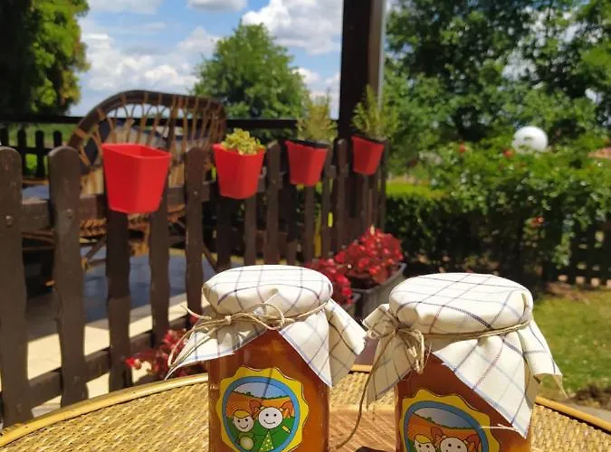 Deciji Vinogradi Belgrade, Sopot, Kosmaj *