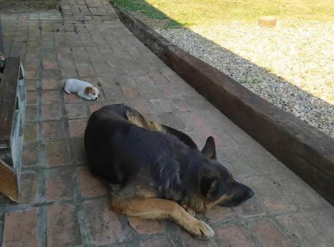 Deciji Vinogradi Belgrade, Sopot, Kosmaj 別荘 Sopot