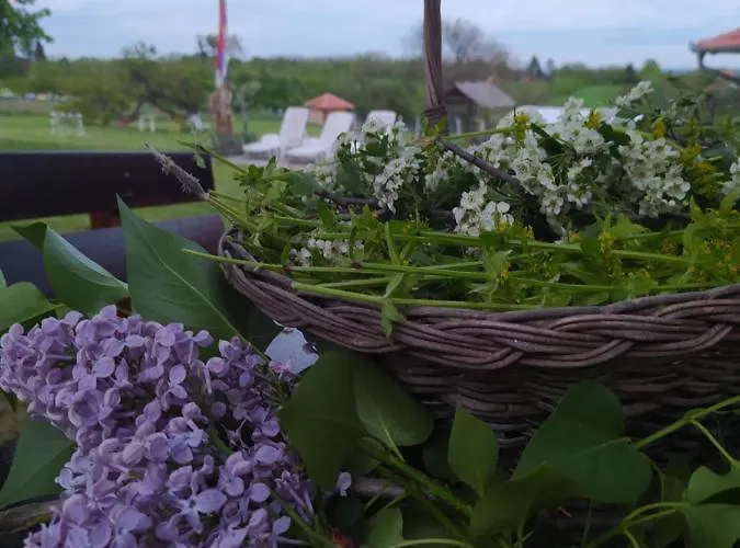 別荘 Deciji Vinogradi Belgrade, Sopot, Kosmaj Sopot