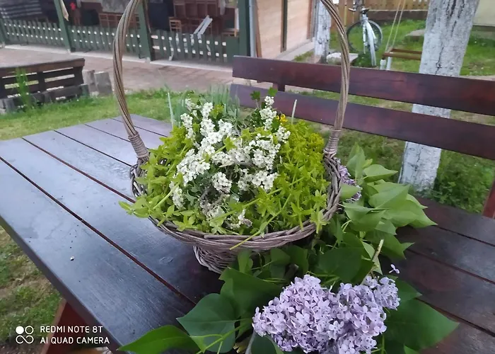 Deciji Vinogradi Belgrade, Sopot, Kosmaj Casa de Férias *