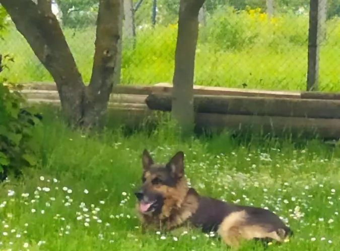 Deciji Vinogradi Belgrade, Sopot, Kosmaj