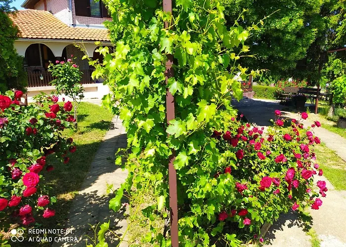 Deciji Vinogradi Belgrade, Sopot, Kosmaj Casa de Férias Sopot