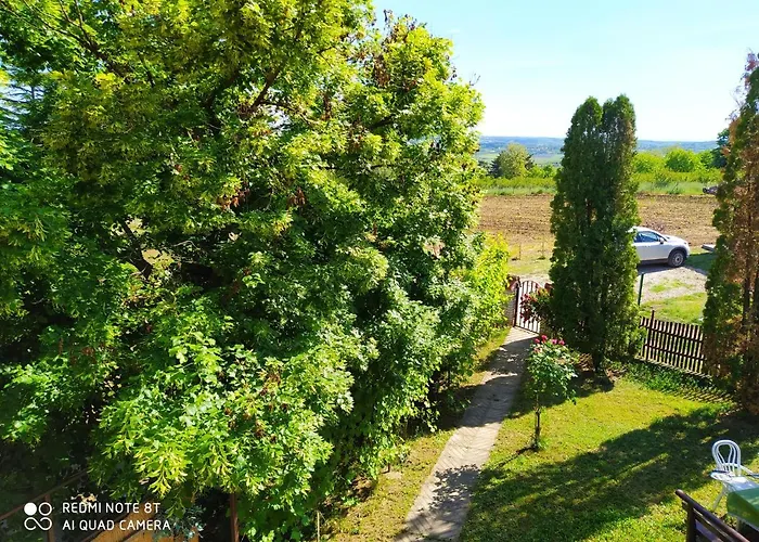 Deciji Vinogradi Belgrade, Sopot, Kosmaj * Sopot