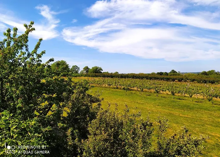 Deciji Vinogradi Belgrade, Sopot, Kosmaj 別荘 Sopot