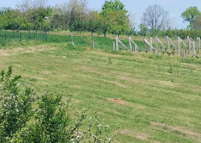 別荘 Deciji Vinogradi Belgrade, Sopot, Kosmaj Sopot