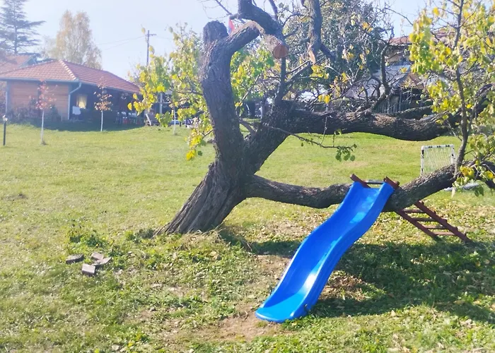 Deciji Vinogradi Belgrade, Sopot, Kosmaj