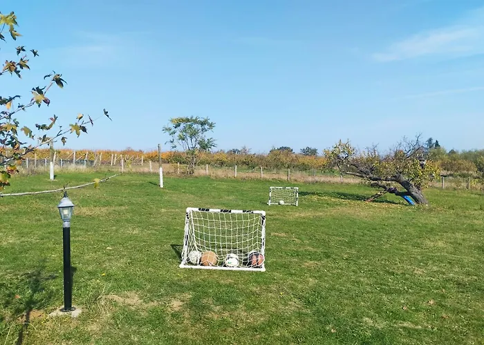 Deciji Vinogradi Belgrade, Sopot, Kosmaj 別荘 *